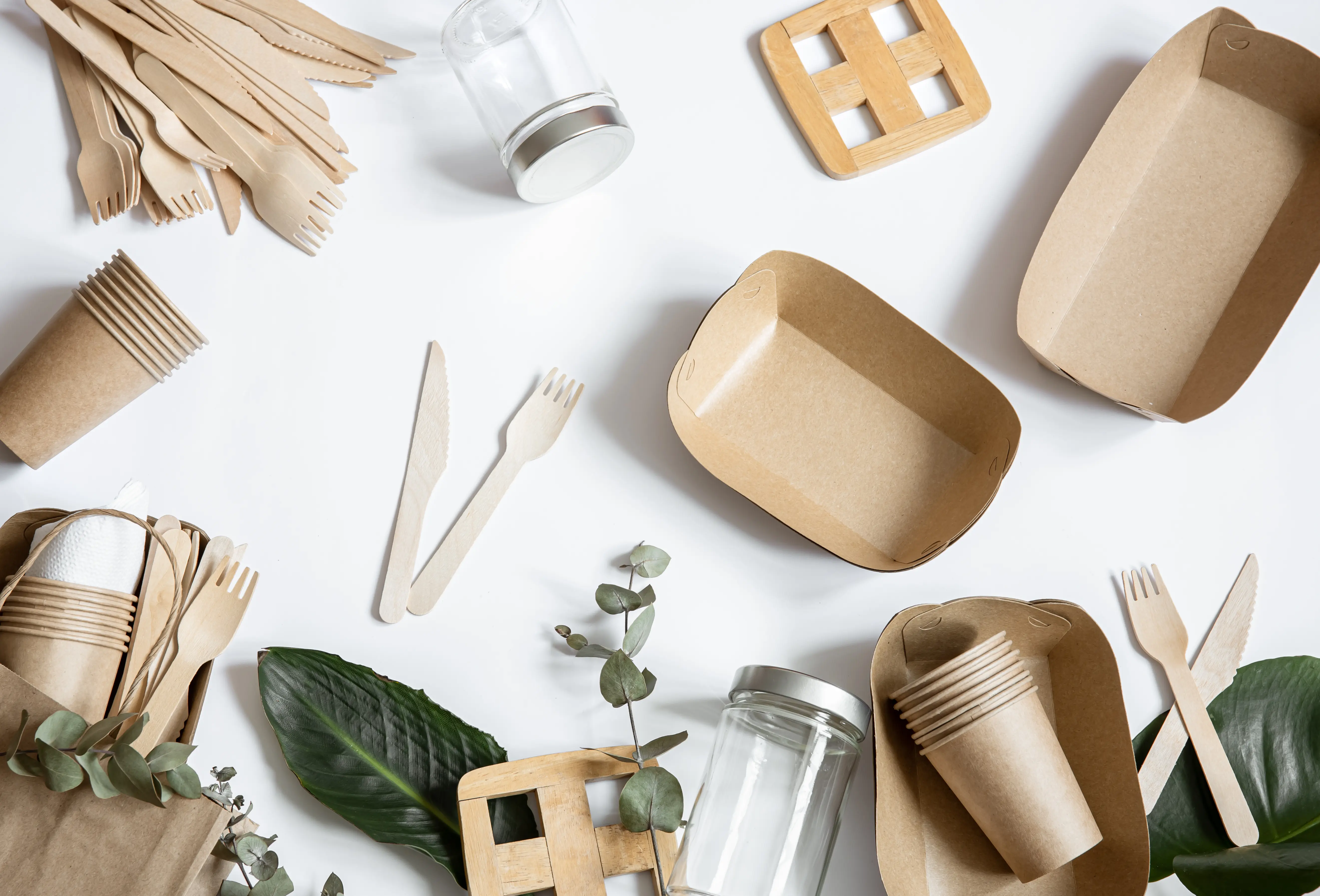 Paper Tableware Catalogue Cover